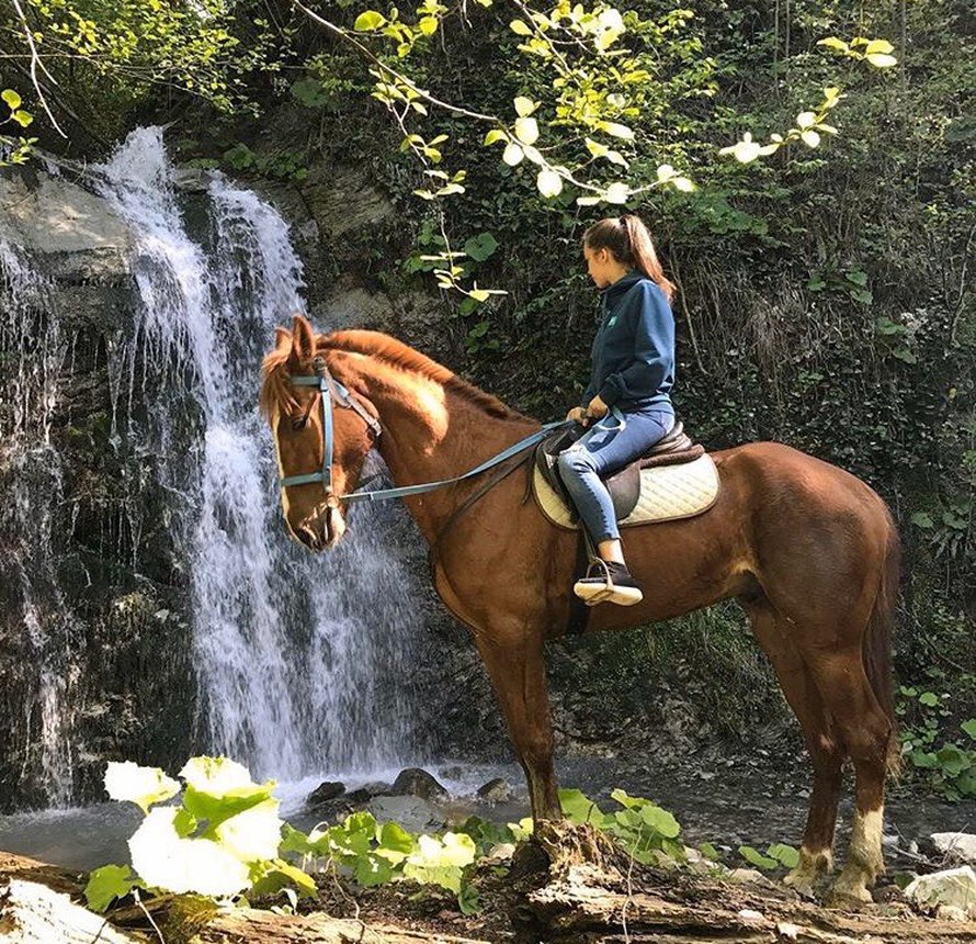 Погружение в природу: прогулки на лошадях для ценителей тишины
